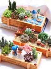 ֲMԺ躬ƴPֲ҃ȾGֲ