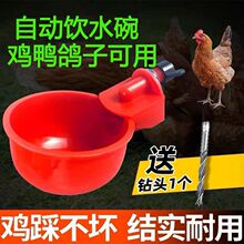 �����Ԅ��ˮ���u���Ԅ�ιˮ��ιˮ��ι�uʳ�ۺ�ˮ�B�u�Ԅ�ιʳ��