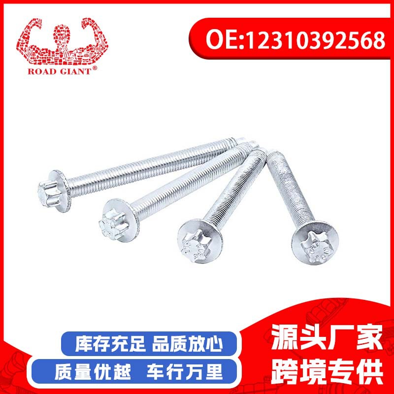 Factory wholesale auto parts engine fixing screws suitable for BMW 12310392568 in stock hair