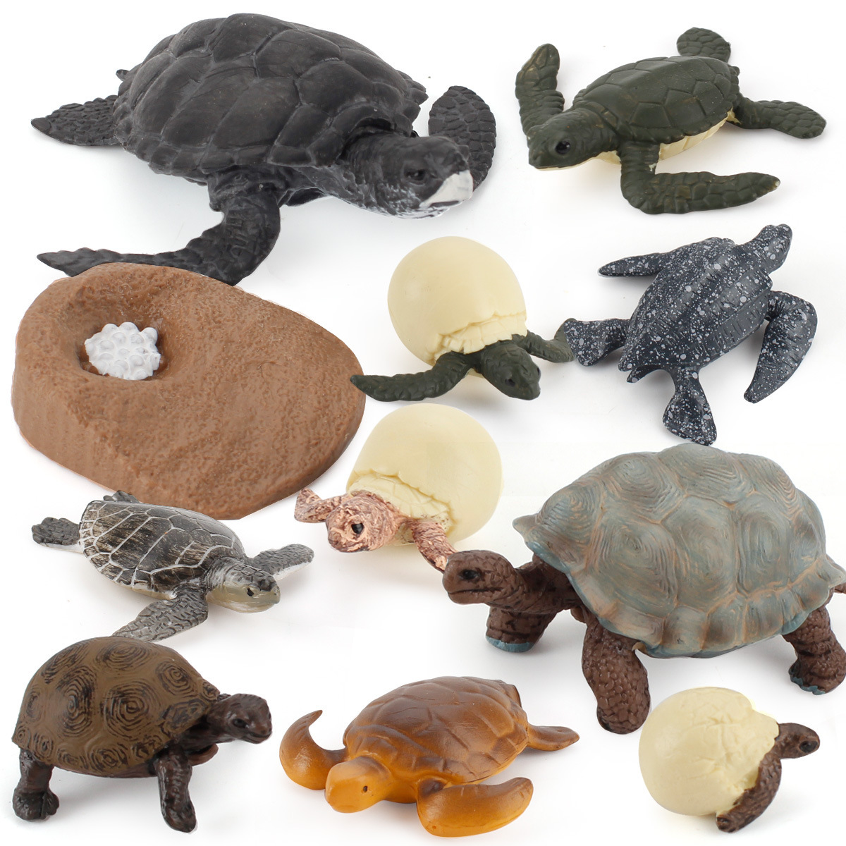 Exportación transfronteriza Simulación infantil modelo animal marino Tortuga cocodrilo pulpo ciclo de crecimiento educación temprana juguetes cognitivos