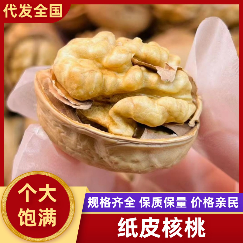 新疆核桃批发纸皮核桃手剥核桃干果跑江湖干核桃袋装薄皮核桃代发