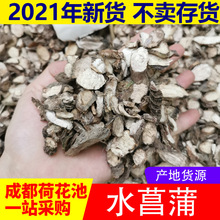 大别山石菖蒲500g克  石菖蒲茶正品石昌蒲初级农产品