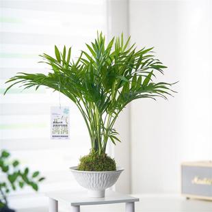 ����Ҭ��̦�\��ˮ���҃��k���҃ȾGֲ�ļ�������B