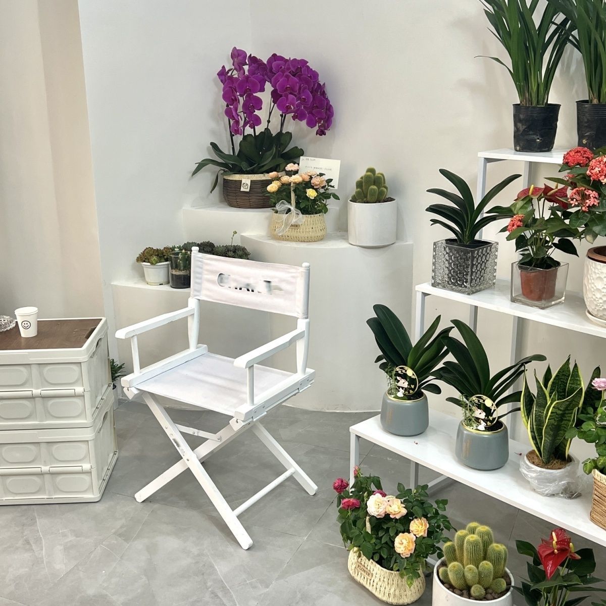 Silla de madera sólida silla de ocio silla de dormitorio silla de bar alto silla de fotos de red silla de empresa de exhibición de clavos taburete LOGO