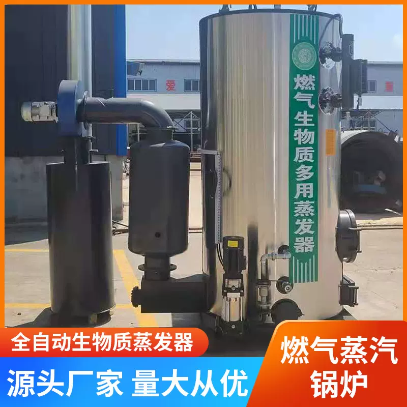 生物质蒸汽锅炉燃柴燃煤蒸汽锅炉蒸汽发生器厂家生物质热水锅炉
