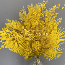 _�Sɫϵ_�����S��c��ˇ���滨�����b�Y�F�����տ��Z�S�����S