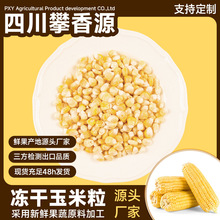 攀香源FD冻干蔬菜冻干玉米粒厂家批发麦片配料无添加儿童孕妇零食