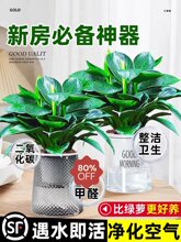 ���~��荾G�������Ԏ������G�}ˮ��ֲ���҃Ȼ�������Gֲ�ļ����B