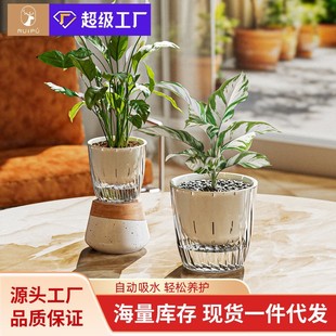 Office Transparent Lazy Flower Pot Small Self-Absorbing Water Pothos Orchid Special Indoor Desktop Small Thickened Flower Pot