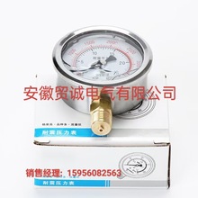 不锈钢隔膜压力表Y-200BF YMN系列隔膜式耐振压力表YML-100