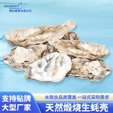 ��Ȼ�~���b�򺚤�V���\���~�؃���ˮ�|��򺚤�д����~�؞V��򺚤