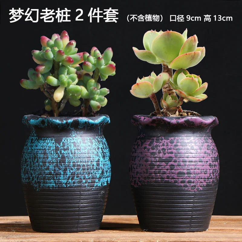 Creative Ceramic Flower Pot, Handmade Factory Direct, Assorted Decorative Designs, Small 7–10 cm
