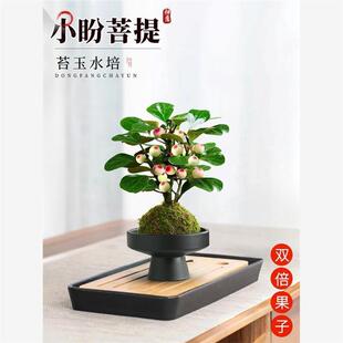 С�������̦�\�򎧹���ʽ����U�������ļ����Bˮ���辰����[��