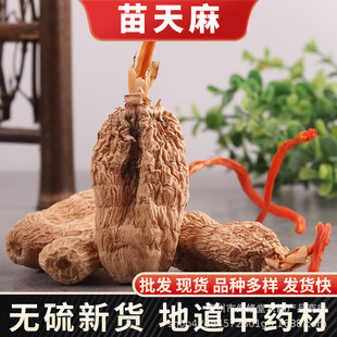 �����ͨ���� �t�����鴺����ͨС�݉�����t�������ɽ����