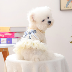 宠物衣服秋冬款小型犬幼犬快乐狗猫保暖舒适服饰蓝蝴蝶结纱裙