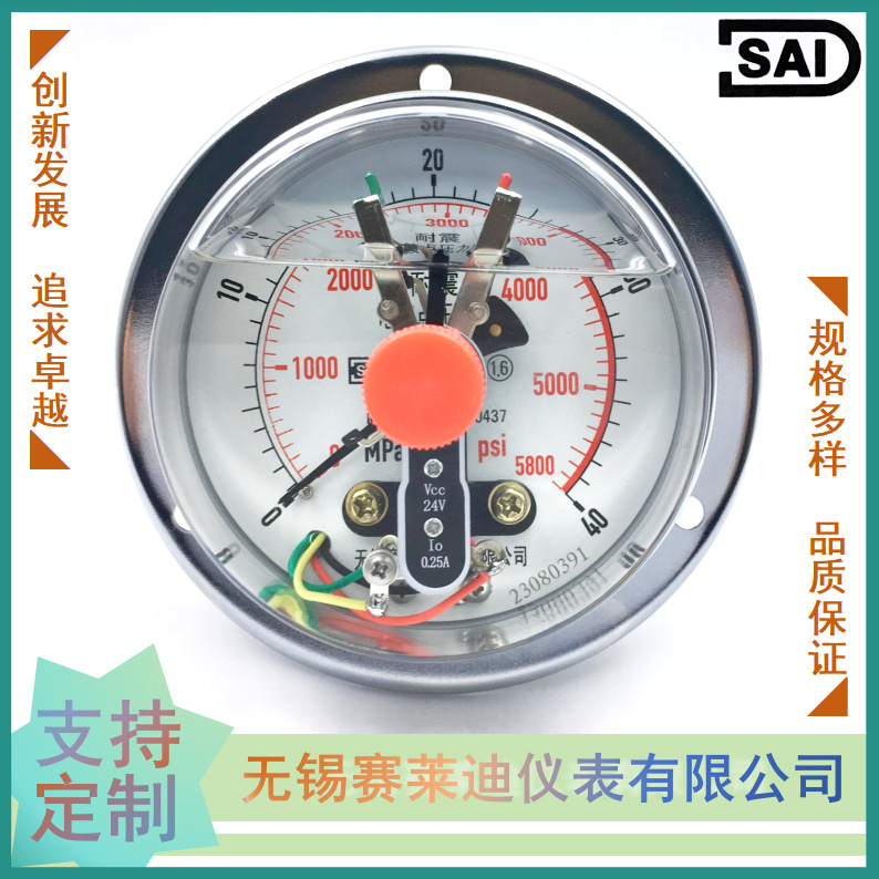 无锡赛莱迪轴向带边24V耐震电接点压力表YNXC-100ZT/M