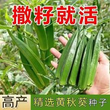 �ļ��߮a�S����N�Ѳ�����ˮ������N�ӿ���������ͥԺ�߲������