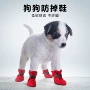 反光四季春秋软底狗鞋