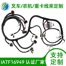 生产低压汽车线束IATF16949认证线速工厂叉车整车车身线束定制