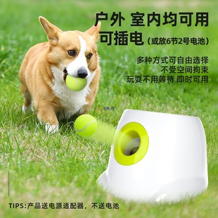 ���������␞�ԄӰl��C�W��l����߅����Ͷ�����޹������w��