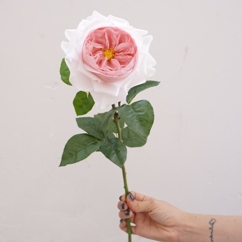 Moisturizing juliet - water pink