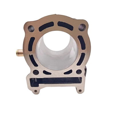 SMAX125 YP125 ZF125T – Cylinder and parts