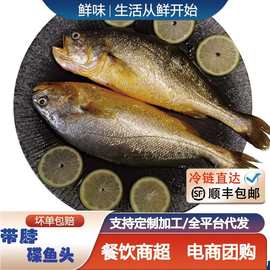 大黄花鱼冰鲜大黄鱼新鲜冷冻生鲜海产海鲜水产商用冰冻黄鱼锁鲜