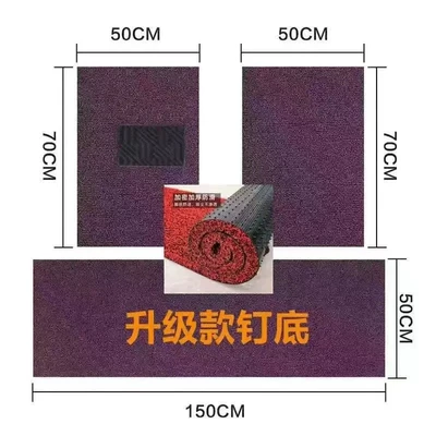 Car Carpet car, all-season anti-slip mats - 20-thickened-black-and-purple-three-piece-set-front-5070-rear-50150
