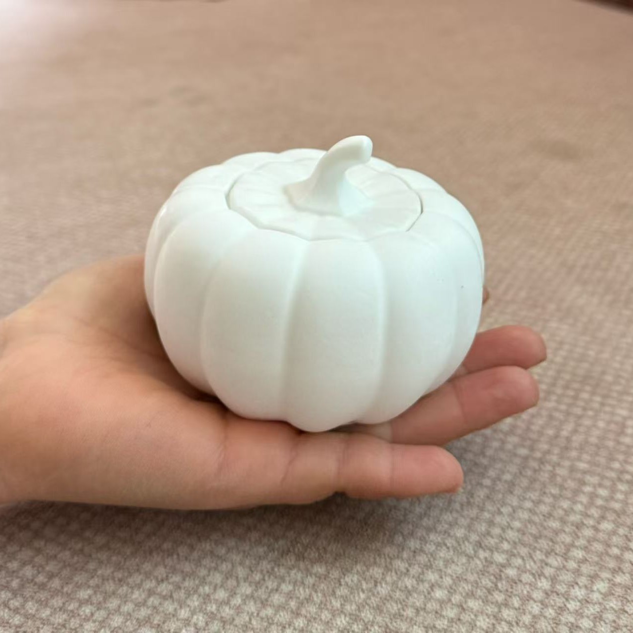 Frasco de Almacenamiento de Calabaza de Yeso en Blanco DIY para Pintar
