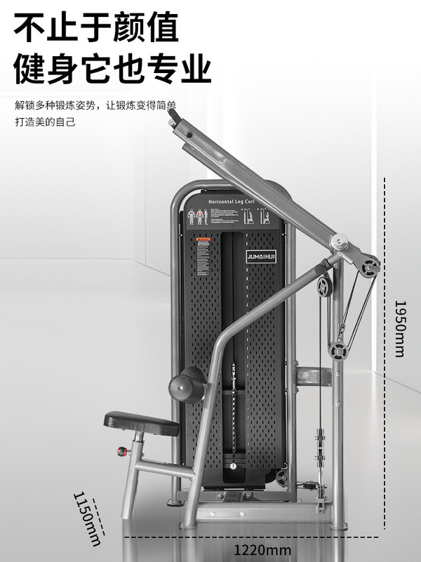 ハイプルダウントレーナー、トランスファーローイング、ハイプルバック筋力器具、ジム用業務用ハイプル|undefined