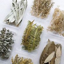 ǧӽ˲ݸɻ޹ϞT}QhdiyֶֹYb~