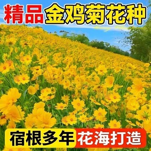 �������󻨽��u�ջ��N�ݲ�˹�հ��ղݻ��Ѿ��^�ײ��N�����L�N����