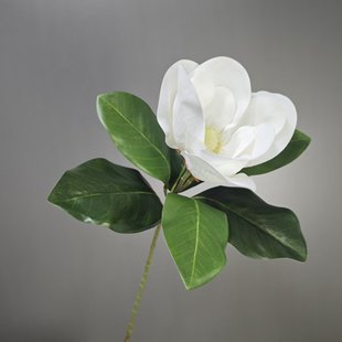 �ߙn�ָа����m�����뻨�������m�����ϼٻ���c�����쾰���仨��