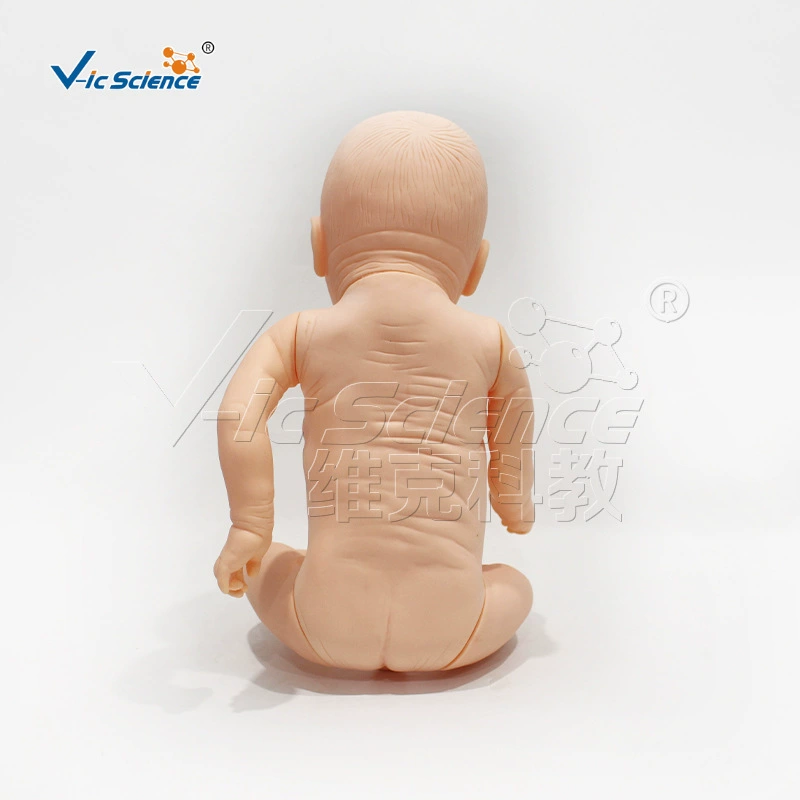Старшая медицинская модель ухода за младенцем VIC409