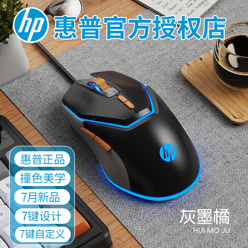 mouse
