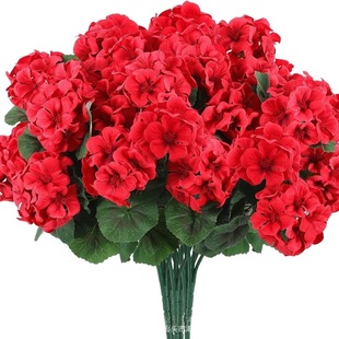 �羳���N���컨���ÿ����Ļ� �b[�����滨�Gֲ ���l�ٻ�����