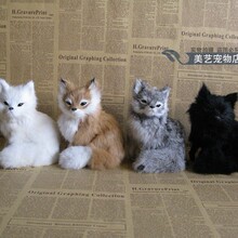 ���������ɫɭ�ֵ��� �S���Һ���������ģ�͔[����ͨ����׺�