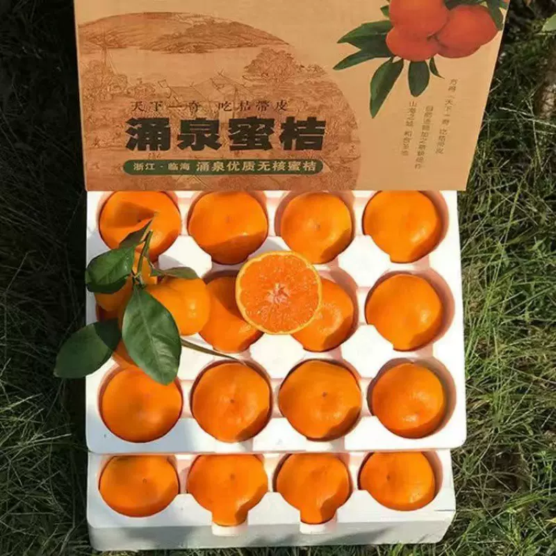 涌泉蜜橘无打蜡浙江临海蜜桔当季新鲜冰糖橘现摘水果批发一件批发