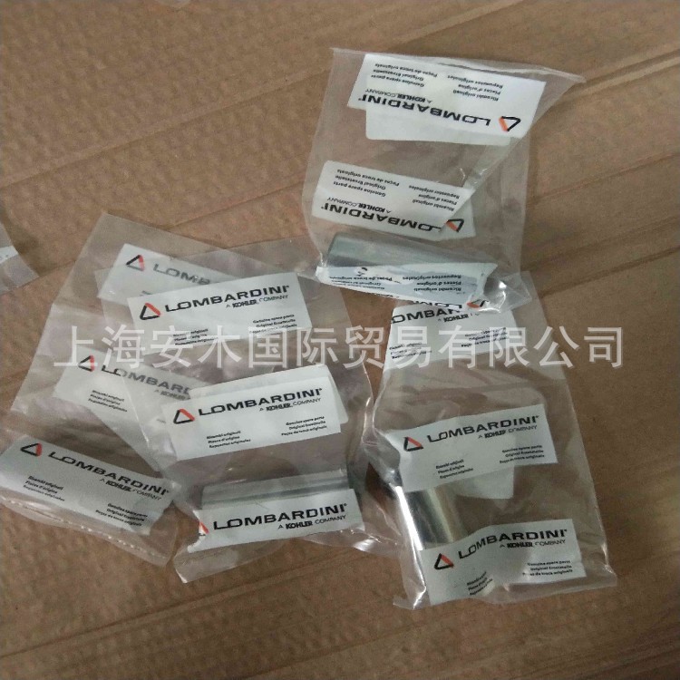 鲁格里尼RUCCERINI船用发动机和维修备件供应商