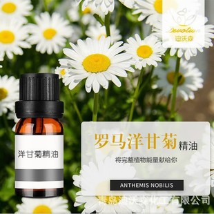 �_�R��ʾվ���Roman Chamomile oil�η�����ԭ�����s��޹����