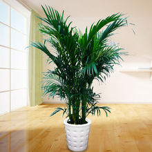 ɢβֲPβ;Gֲ辰͏d҃ȸFҬ