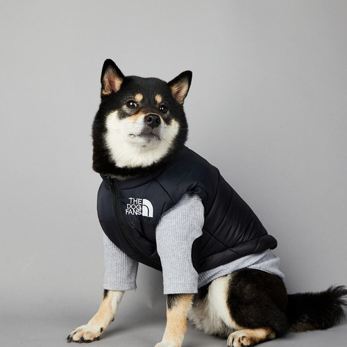 US Brand Dog Face Windproof Rainproof Large Dogs Winter Warm Raincoat Dog Pet Cotton Coat Down Jacket 
