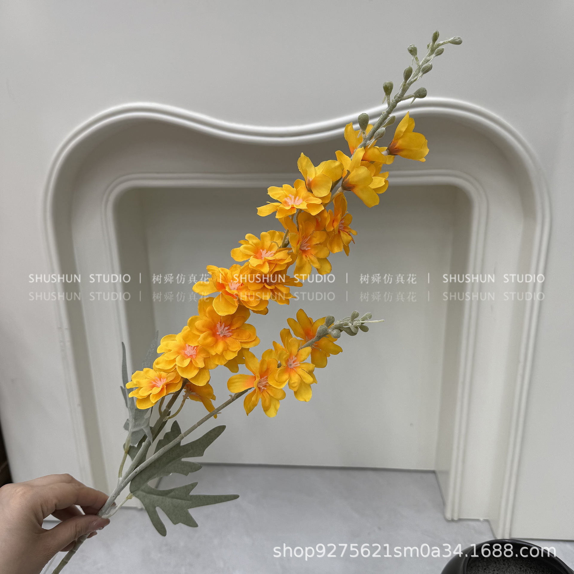 샤오페이옌-오렌지