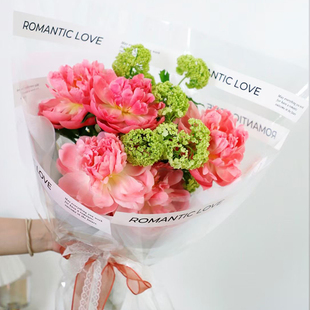 ��͸���������m������Ʒ������ˮ���ϰ������r�����b��diy͸����