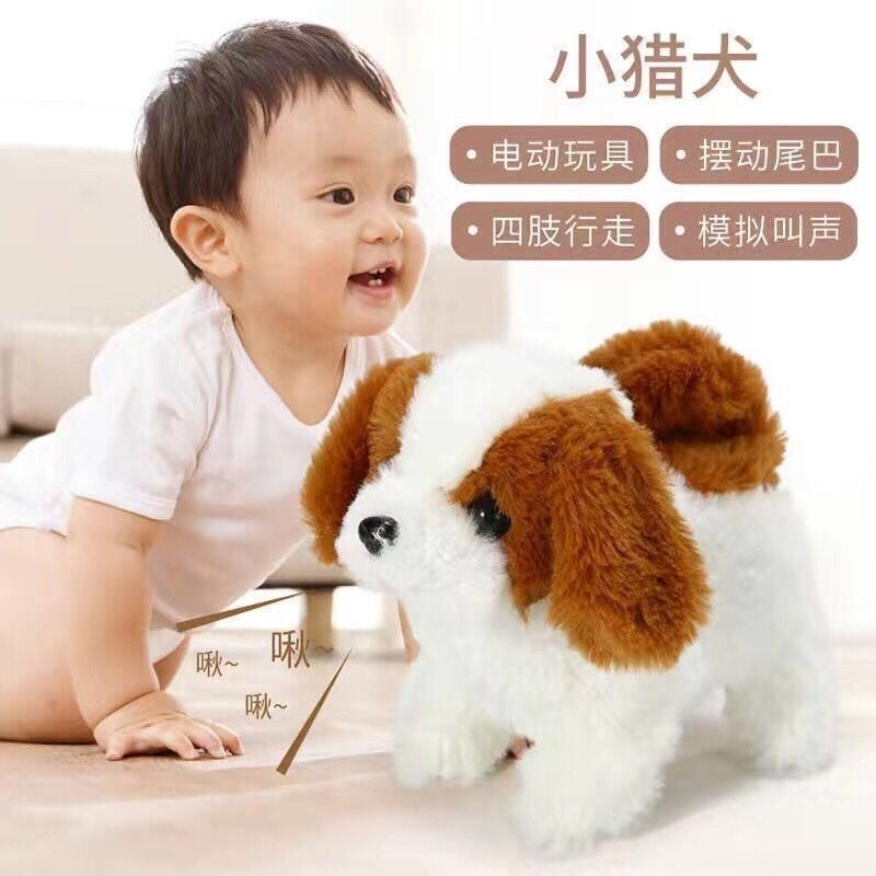 St. bernard brown dog