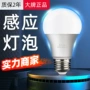 人体家用声控过道灯泡