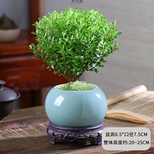 �ļ�������B��С�~����辰ֲ���҃�����Gֲ����Դ���S���l