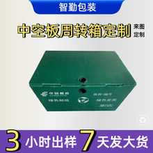 自有工厂极速打样定制邮政快递箱塑料加厚中空板周转箱pp塑料框