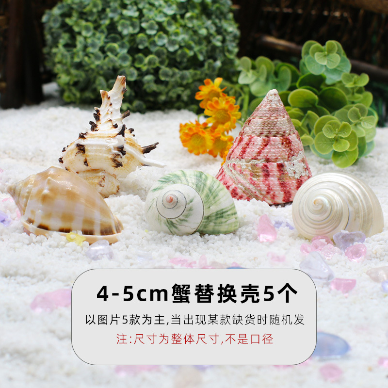 "4-5cm 게 교체 껍질 5개 [결합 팩 B] ""다양한 모양""."