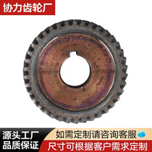 协力厂家手电钻配件锂电手电锯钻传动系统齿轮配件通用款齿轮批发